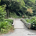 通天橋 聖母登山步道 三角崙登山步道 抹茶山步道60