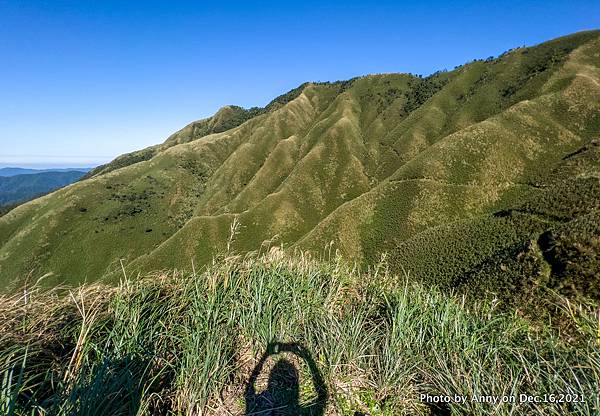 宜蘭抹茶山