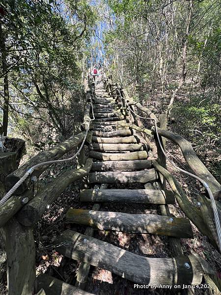 大坑四號步道17.jpg