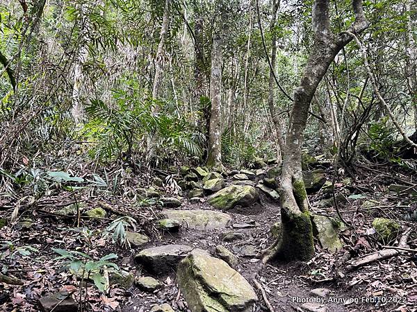 苗栗虎山步道20.jpg