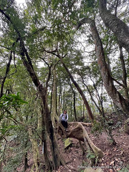 苗栗虎山步道32.jpg