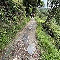 跑馬古道 淡蘭古道南段8