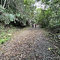 跑馬古道 淡蘭古道南段10