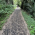 跑馬古道 淡蘭古道南段12