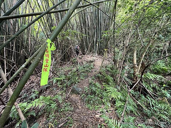 非官方跑馬古道15