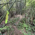 非官方跑馬古道15