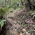 非官方跑馬古道16