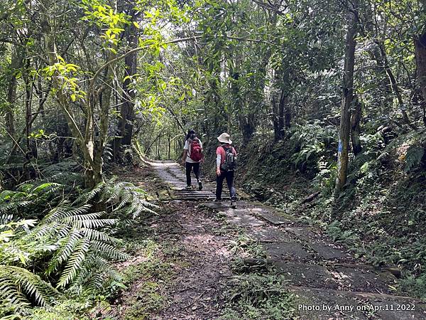 跑馬古道 淡蘭古道南段32