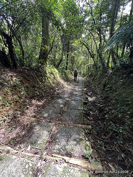 跑馬古道 淡蘭古道南段33