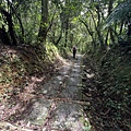 跑馬古道 淡蘭古道南段33