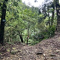 鵲子山步道 礁溪富士山步道6.JPG