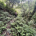 鵲子山步道 礁溪富士山步道11.JPG