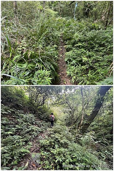 鵲子山步道 礁溪富士山步道2.jpg