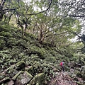 鵲子山步道 礁溪富士山步道13.JPG