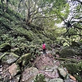 鵲子山步道 礁溪富士山步道12.JPG