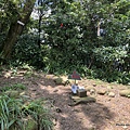 飛鳳山步道 飛鳳山三角點