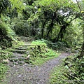 宜蘭松羅步道16.JPG