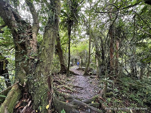 宜蘭松羅步道24.JPG