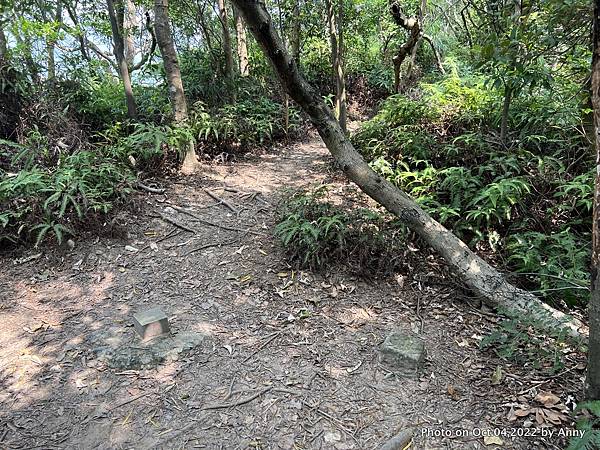 唭哩岸烏尖連峰步道 荷蘭圖根點8