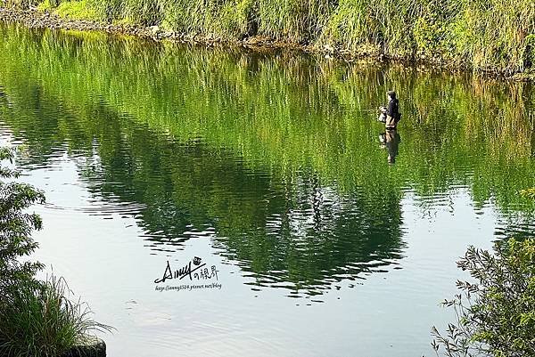 大河戀 景美河濱步道