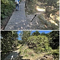 內湖愛心縱走 龍船岩山岔路7