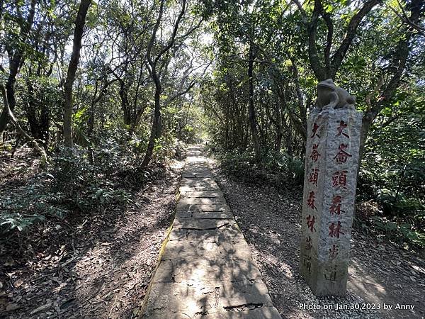 內湖愛心縱走 大崙頭森林步道76