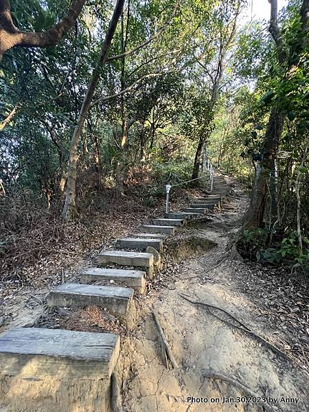 內湖愛心縱走 內湖金面山步道101