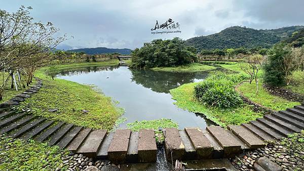 宜蘭崙埤櫻花公園1.jpg