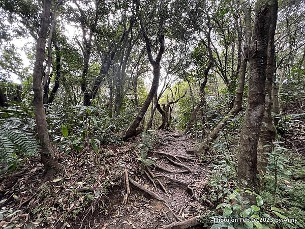 二格山步道35.jpg