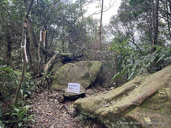 二格山步道 南邦寮山 二格山西峰37