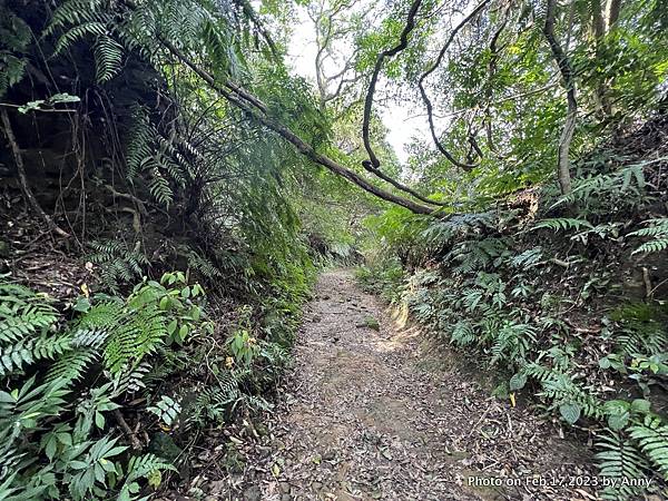 二格山步道46.jpg