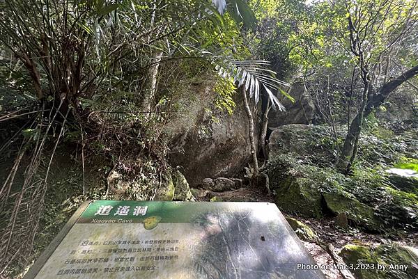 山羊洞登山步道 逍遙洞26