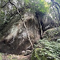 山羊洞登山步道 31