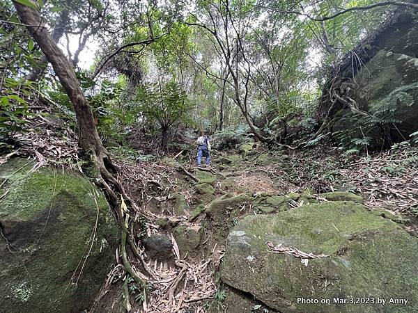 山羊洞登山步道 33