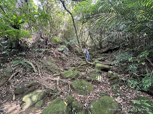 山羊洞登山步道 32