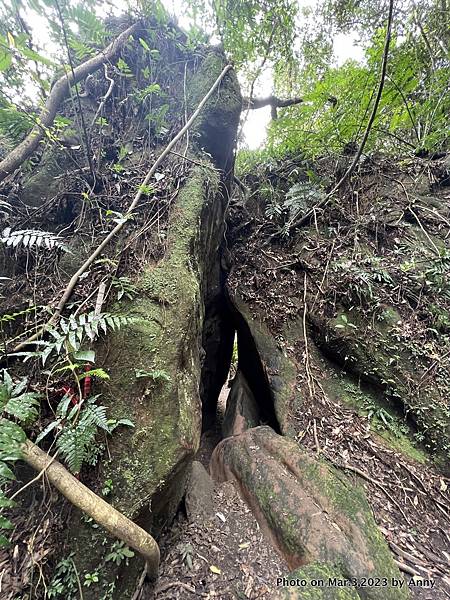 山羊洞登山步道 山羊洞42