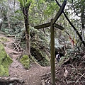 山羊洞登山步道 40