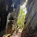 山羊洞登山步道 山羊洞52