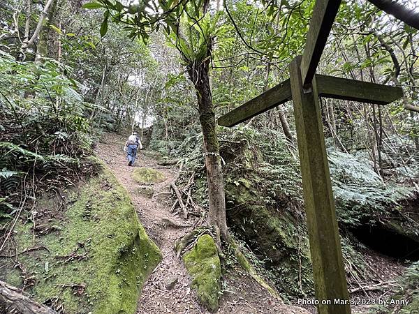 山羊洞登山步道 54