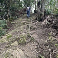 山羊洞登山步道 55