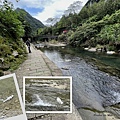 烏塗溪步道 淡蘭古道11