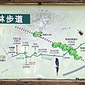 羊稠森林步道地圖5