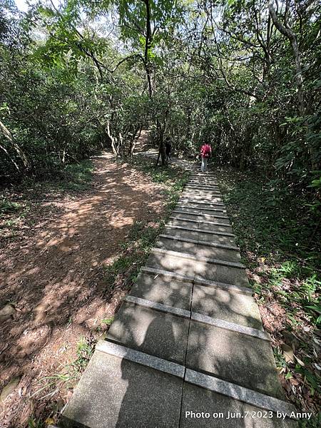 羊稠森林步道12.jpg