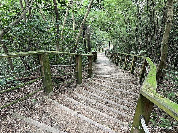 羊稠森林步道 羊稠好漢坡21