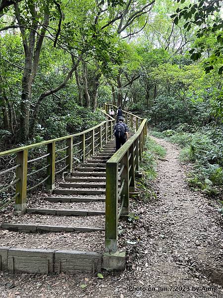 羊稠森林步道 羊稠好漢坡30