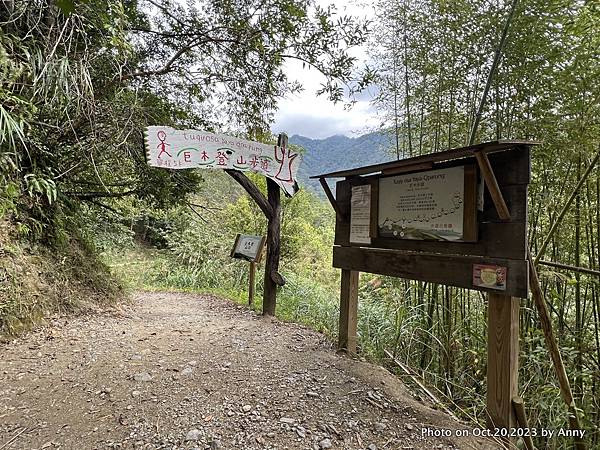 司馬庫斯巨木群步道19.JPG