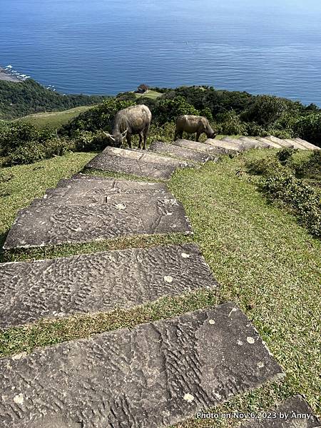 桃源谷步道82.JPG