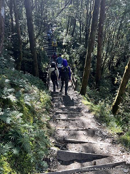 台灣山毛櫸國家步道 宜蘭山毛櫸步道10.JPG