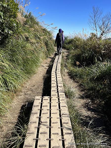 台灣山毛櫸國家步道 宜蘭山毛櫸步道11.JPG