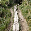 台灣山毛櫸國家步道 宜蘭山毛櫸步道53.JPG